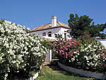 Beautiful Gardens at Urbanizacion Benamara, Estepona