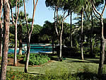 2 bedroom apartment, El Presidente